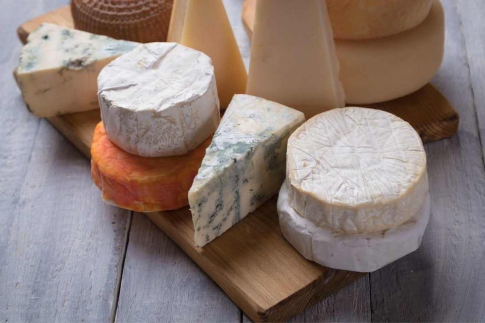 What's the best cheese for backpacking and camping?