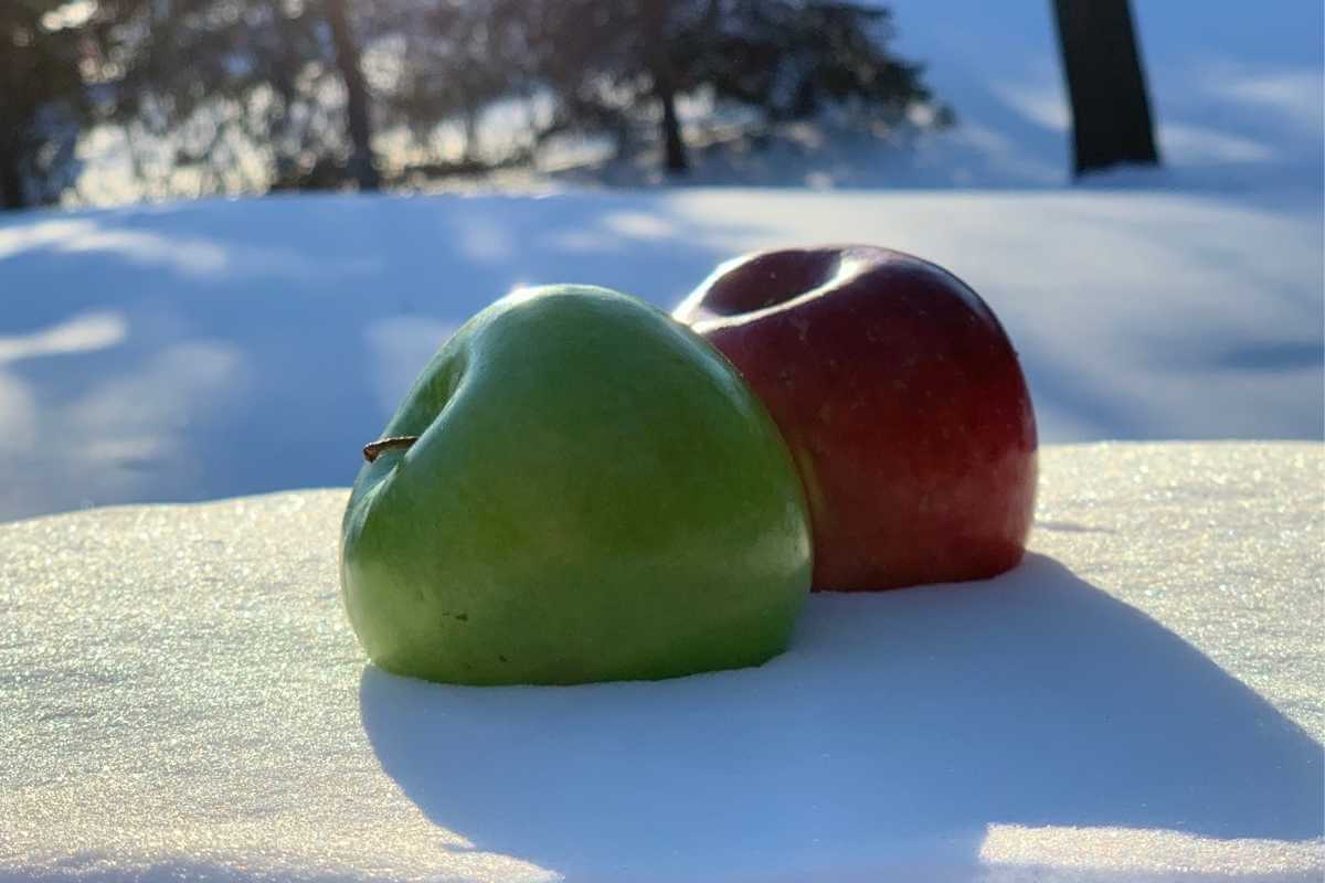 How to keep food from freezing when winter camping