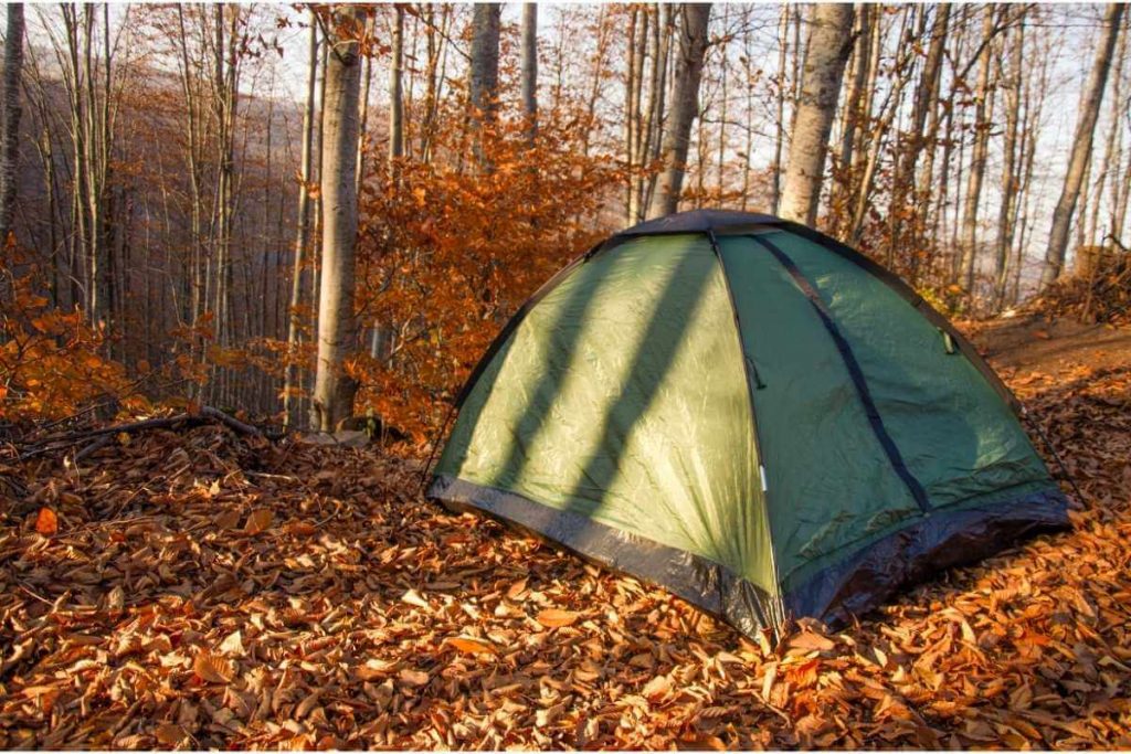 A tent set up on a campsite in the fall surrounded by leaves.