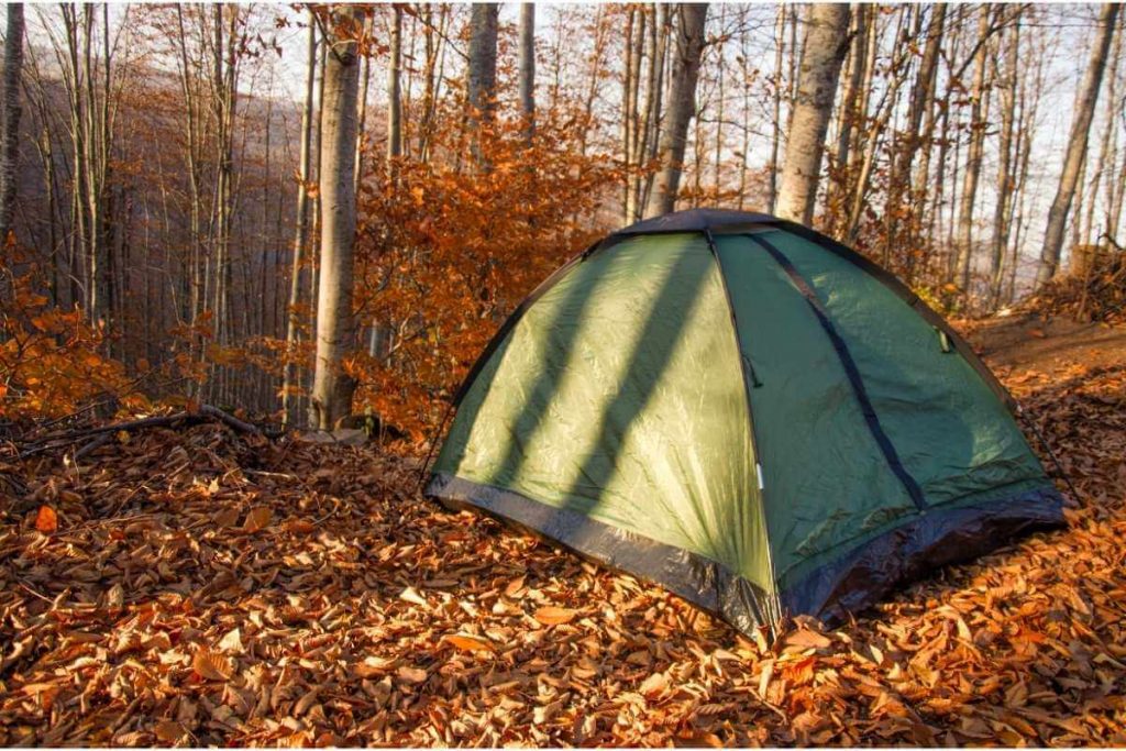 Una carpa instalada en un campamento en otoño rodeada de hojas.