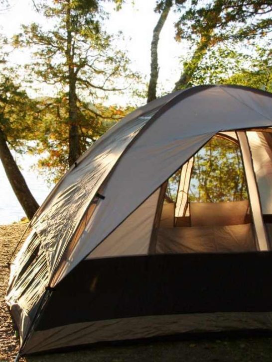 Mesh windows on a 3-season tent at a campsite.
