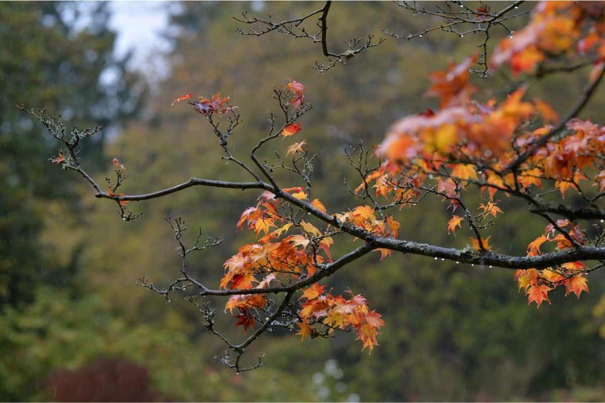 Camping in 50degree weather How to be smart about it