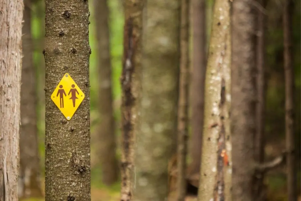 How to pee while camping (a guide for women) Gone Camping Again