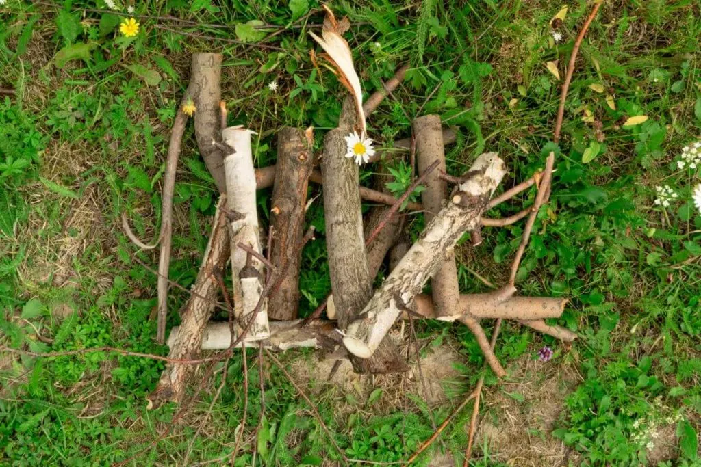 Tinder vs. kindling What's the difference? Gone Camping Again