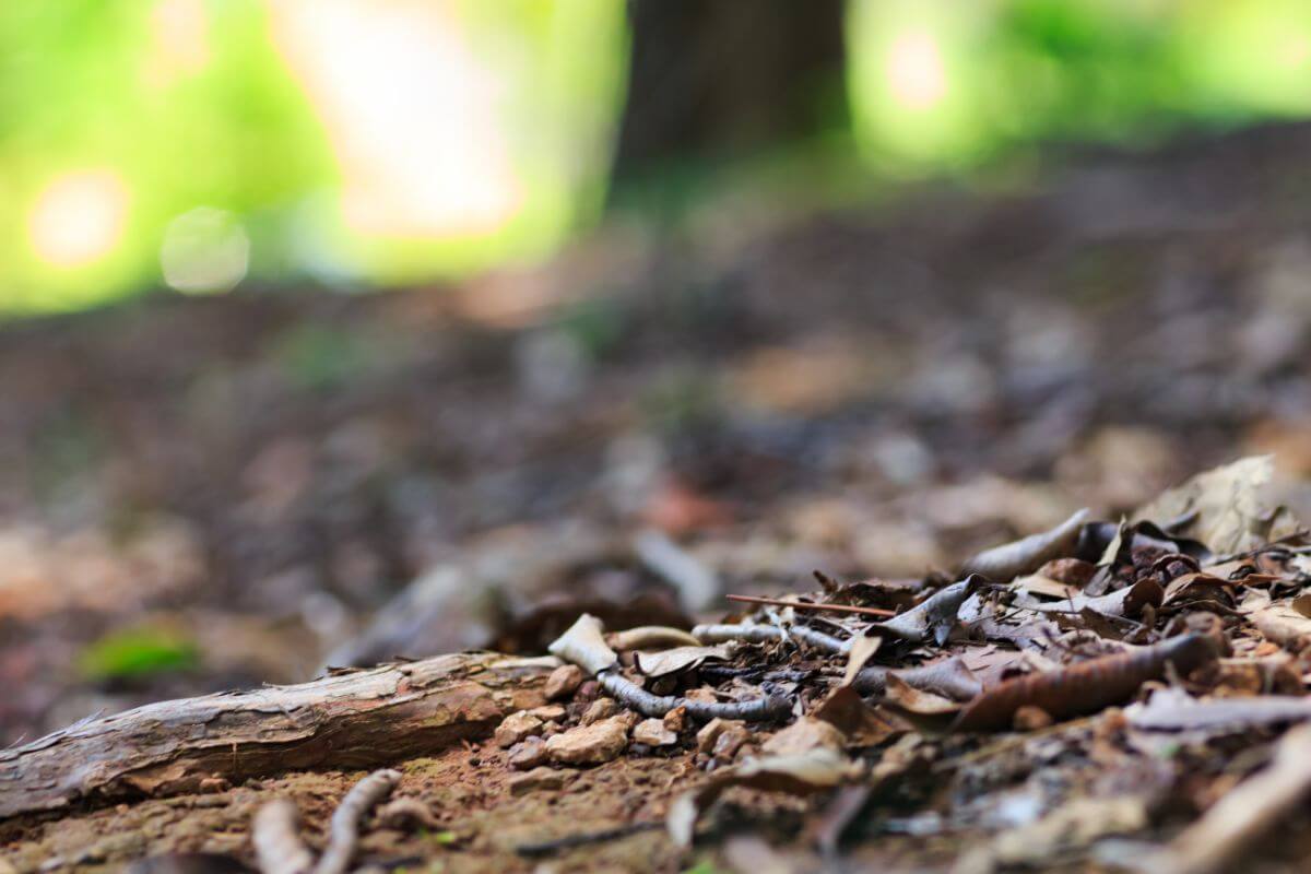 Camping on a slope or uneven ground How to make it work