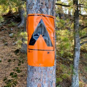 A campsite marker on a tree